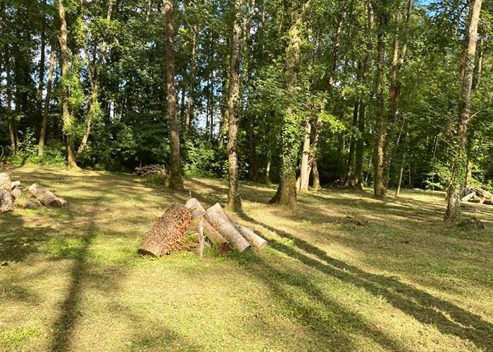 Paysagiste-à-Scey-sur-Saône-et-Saint-Albin---Paysallia-06