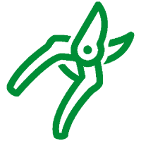 Pysallia
