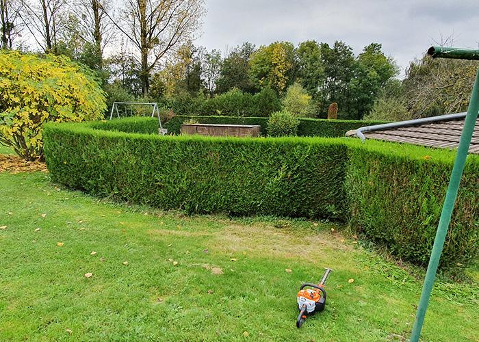 Entretien-de-parcs-et-jardins-à-Scey-sur-Saône-et-Saint-Albin02