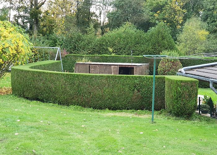 Entretien-de-parcs-et-jardins-à-Scey-sur-Saône-et-Saint-Albin01