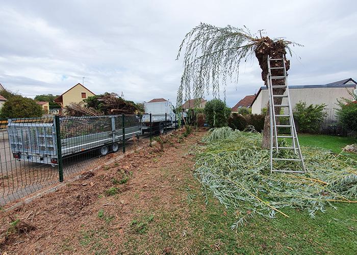 Entretien-de-parcs-et-jardins-à-Scey-sur-Saône-et-Saint-Albin03