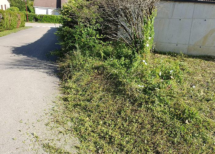 Entretien-de-parcs-et-jardins-à-Scey-sur-Saône-et-Saint-Albin07