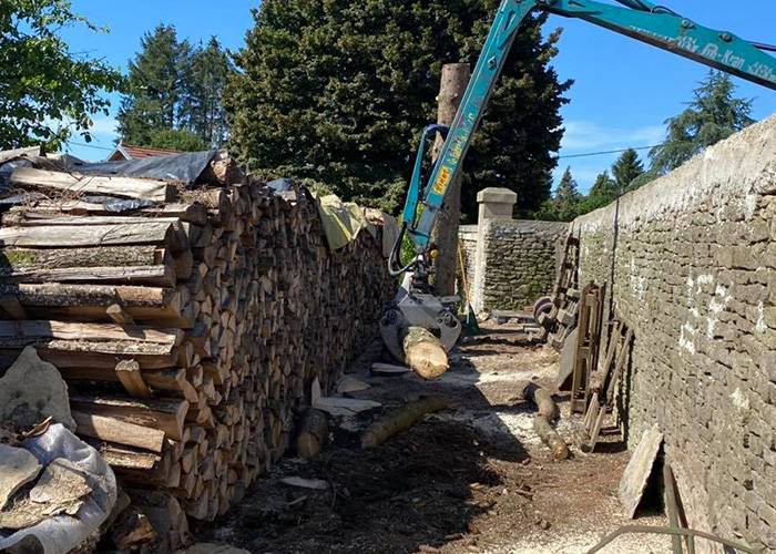 lagage-et-abattage-à-Scey-sur-Saône-et-Saint-Albin  - 07